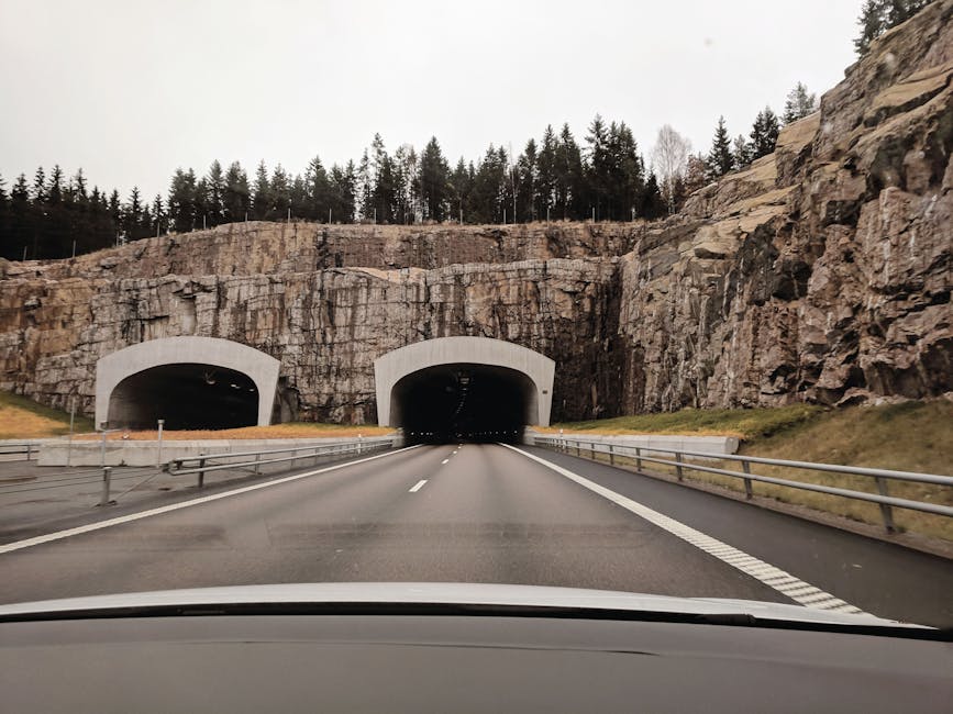 Wide highway leading into twin tunnels through rocky hills, framed by pine trees.